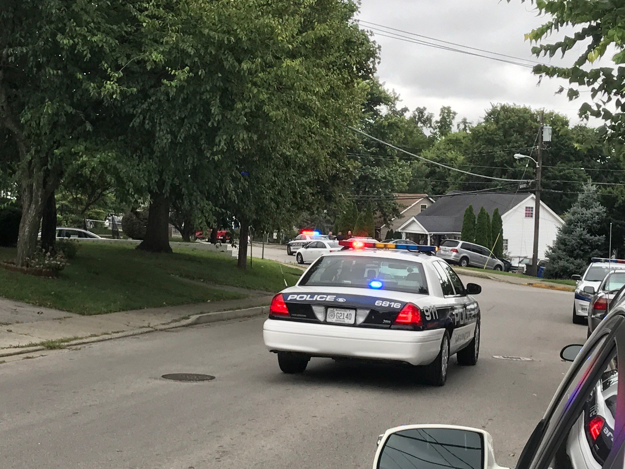 Lex18 News