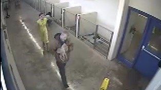 Security footage shows a couple carrying Thompson and throwing him over a fence.